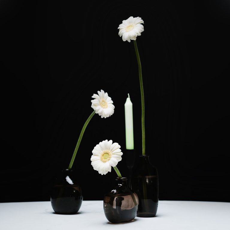 Weiße Blumen im Studio mit schwarzem Hintergrund